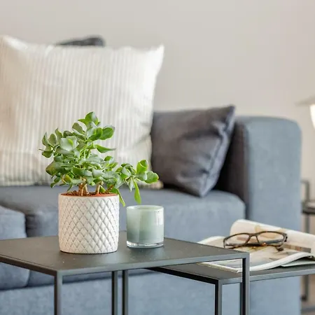 Cosy Grey 프라이부르크 임 브리스가우